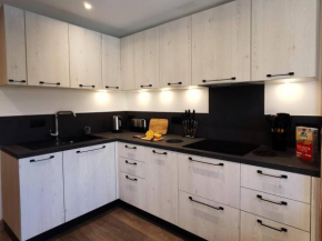 Charmant appartement rénové, cosy, pour 4 pers., exposé sud, skis aux pieds, proche commerces - FR-1-545-43